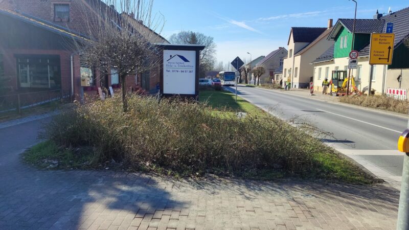 Rosenbeete entlang der Karl-Marx-Straße