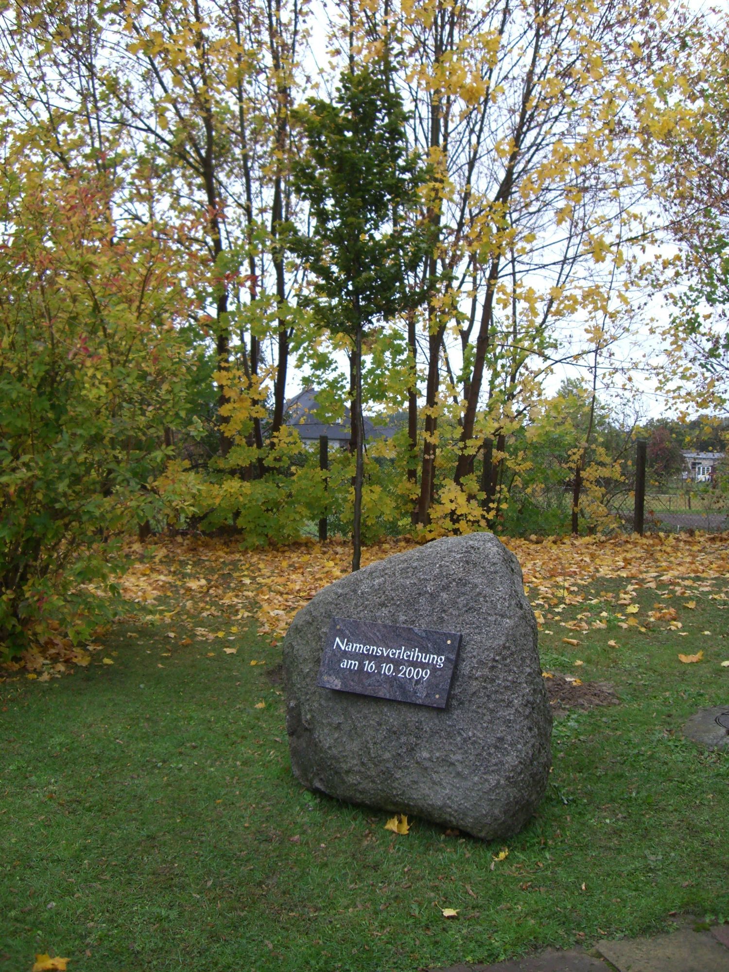 Namensverleihung Grundschule am Burgwall Wildberg 2009